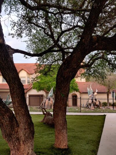 Dog Park/Play area - Austin, TX
