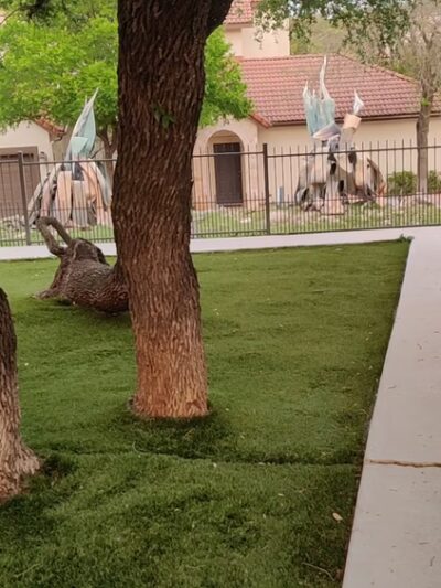 Dog Park/Play area - Austin, TX