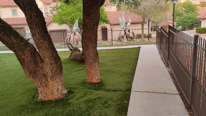 Dog Park/Play area - Austin, TX