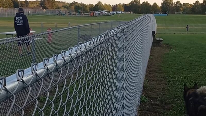 Austintown Bark Park - Austintown, OH