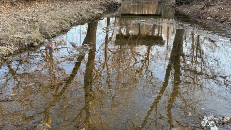 Ava City Park - Ava, MO