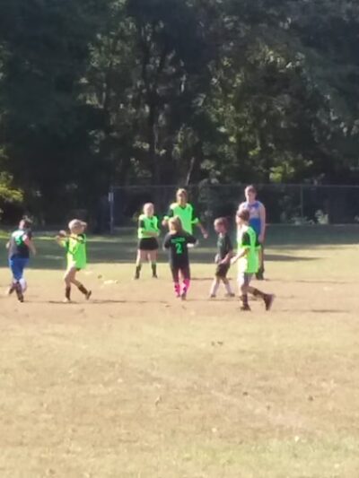 Ava Park Director - Ava, MO