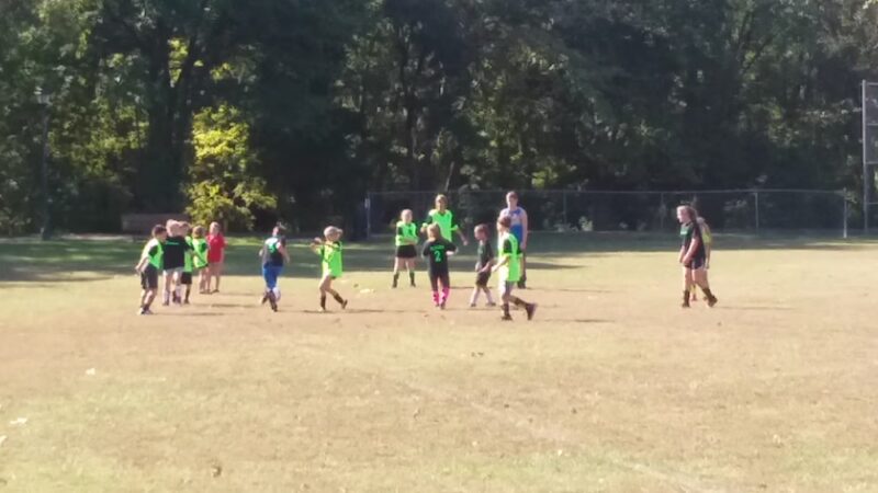 Ava Park Director - Ava, MO