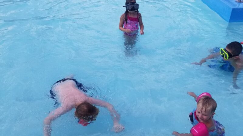 Ava Park Director - Ava, MO