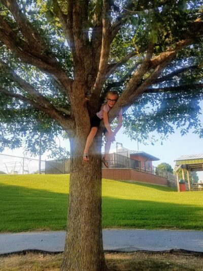 Ava Skate Park - Ava, MO