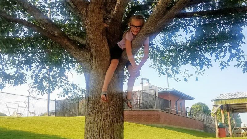 Ava Skate Park - Ava, MO