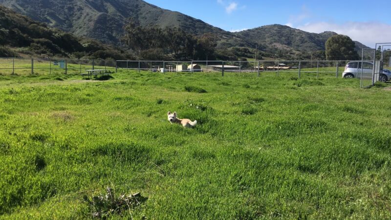 Middle Ranch Dog Park - Avalon, CA