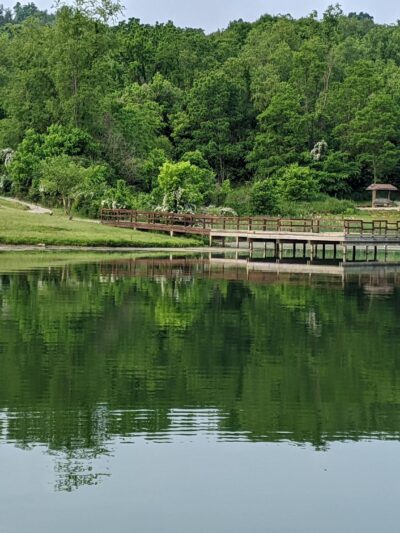Cross Creek County Park - Avella, PA