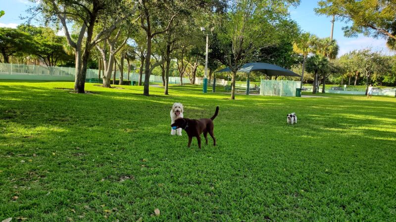 Waterways Dog Park - Aventura, FL