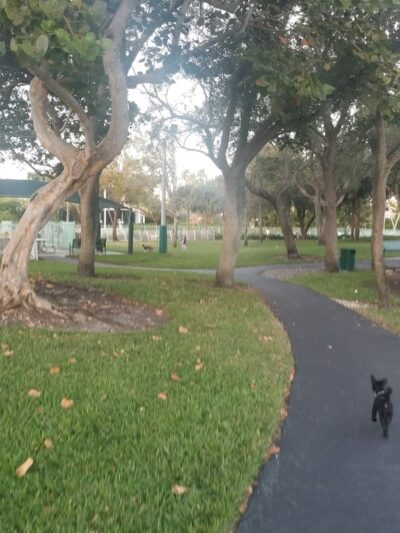 Waterways Dog Park - Aventura, FL