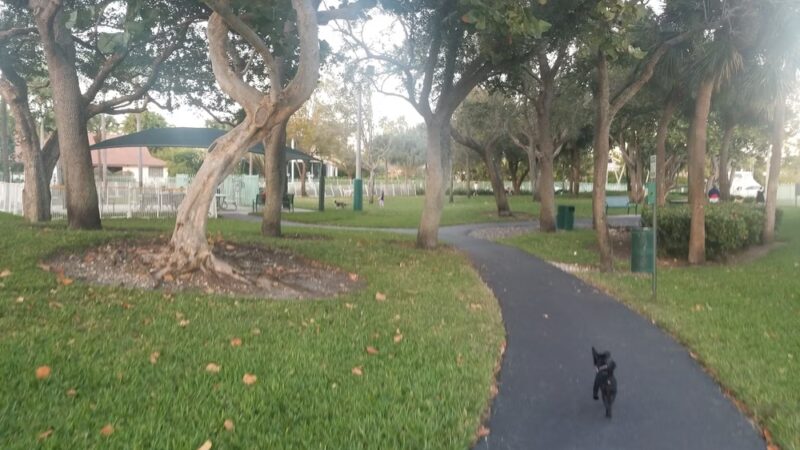 Waterways Dog Park - Aventura, FL