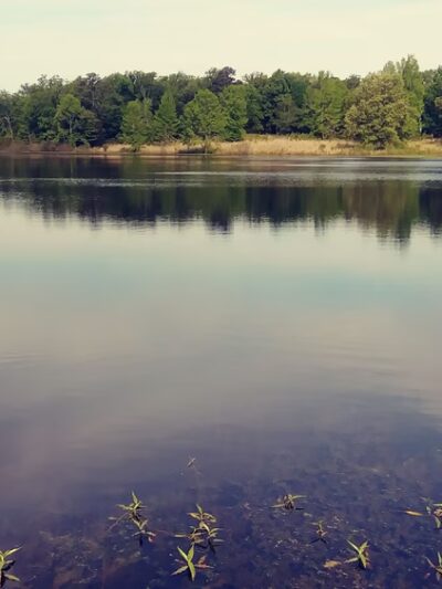 Avery City Lake Park - Avery, TX