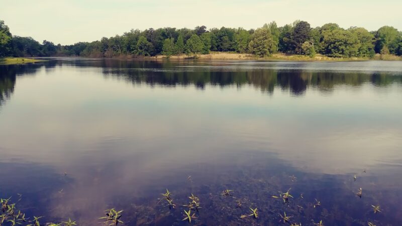 Avery City Lake Park - Avery, TX