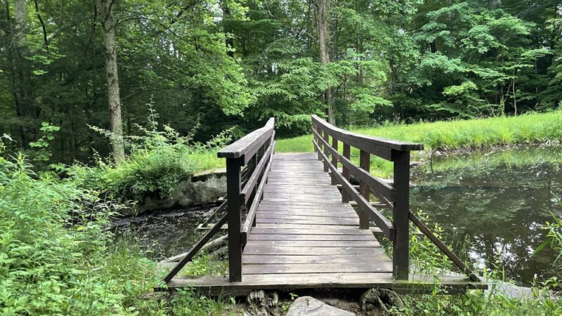 Countryside park. - Avon, CT