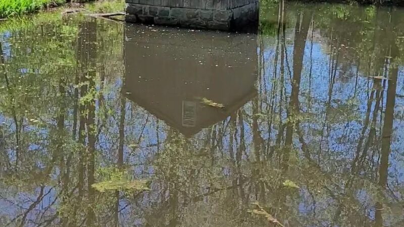 Countryside park. - Avon, CT