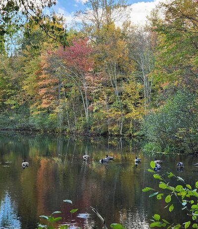 Countryside park. - Avon, CT