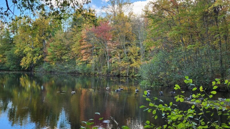 Countryside park. - Avon, CT