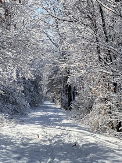 Farmington Valley Greenway Parking - Avon, CT
