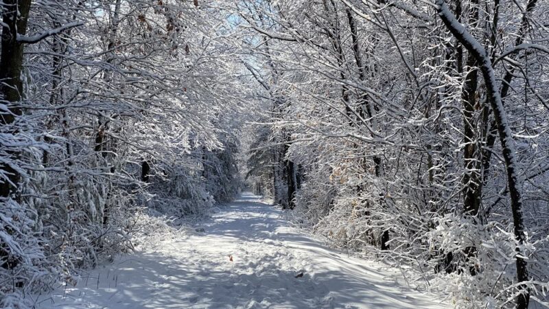 Farmington Valley Greenway Parking - Avon, CT