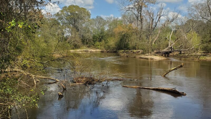 Zoar State Forest - Aylett, VA