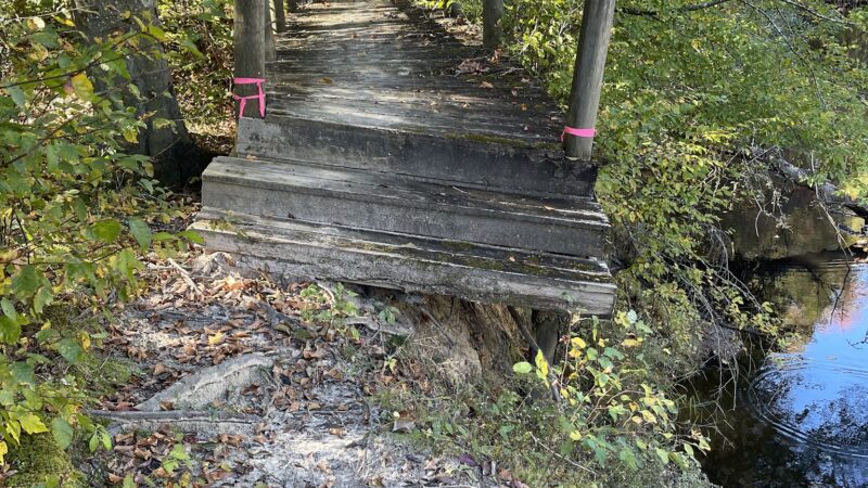 Zoar State Forest - Aylett, VA