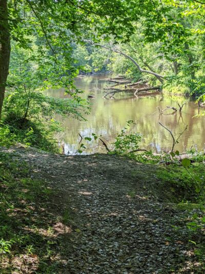 Zoar State Forest Canoe Ramp - Aylett, VA
