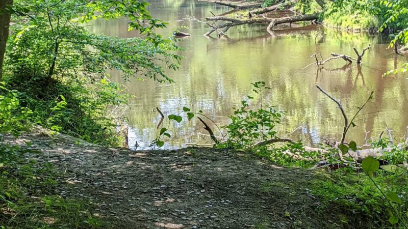 Zoar State Forest Canoe Ramp - Aylett, VA