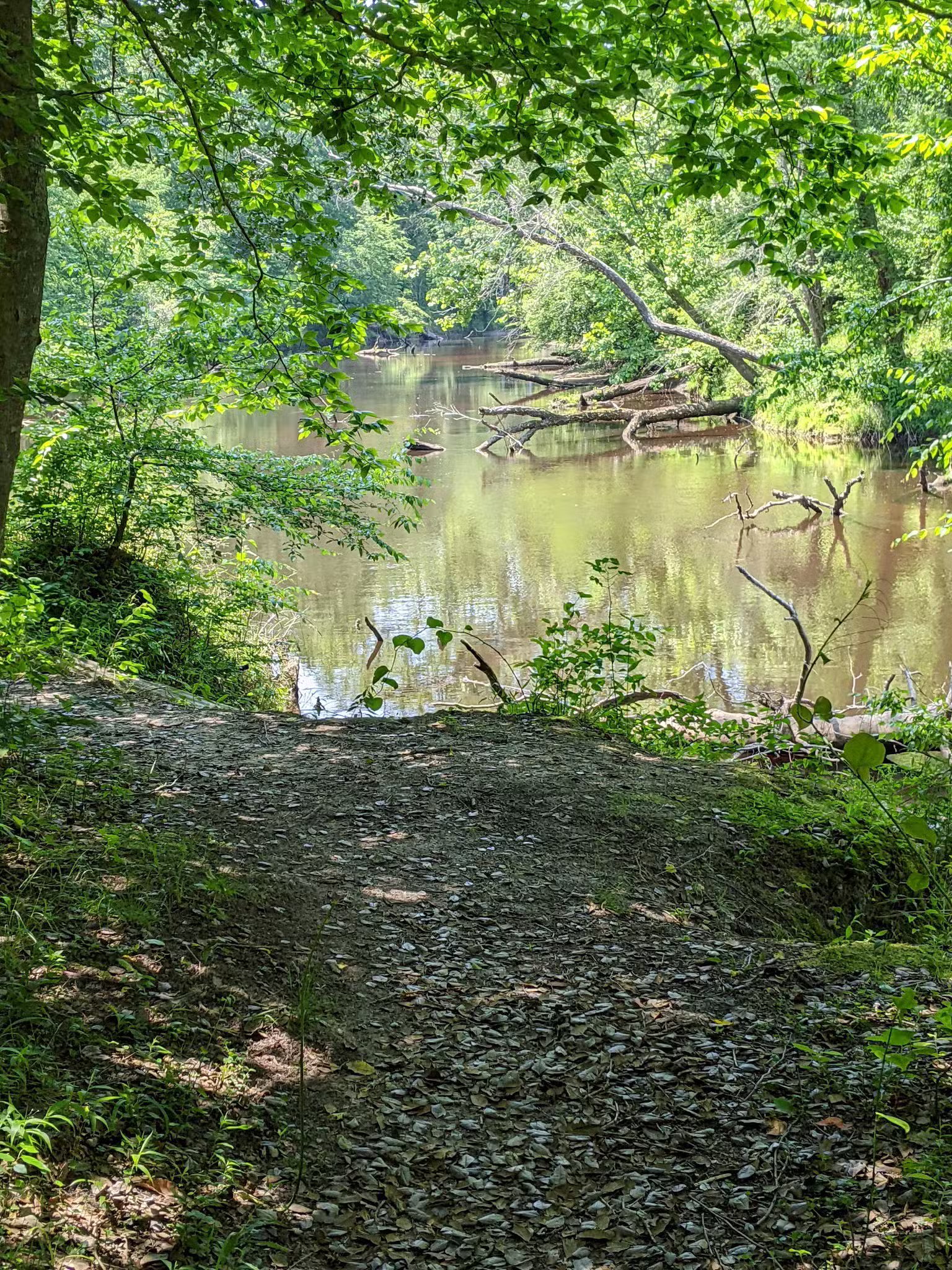 Zoar State Forest Canoe Ramp - Aylett, VA
