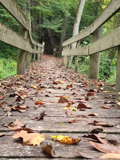 Zoar State Forest Canoe Ramp - Aylett, VA