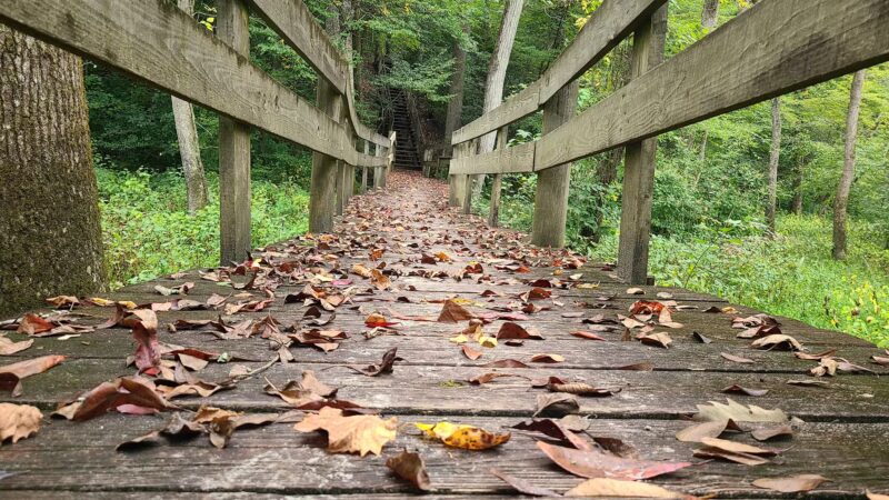 Zoar State Forest Canoe Ramp - Aylett, VA
