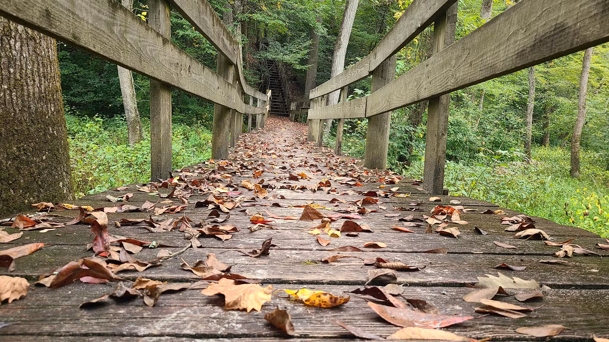 Zoar State Forest Canoe Ramp - Aylett, VA