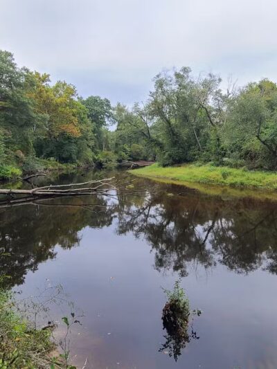 Zoar State Forest Canoe Ramp - Aylett, VA
