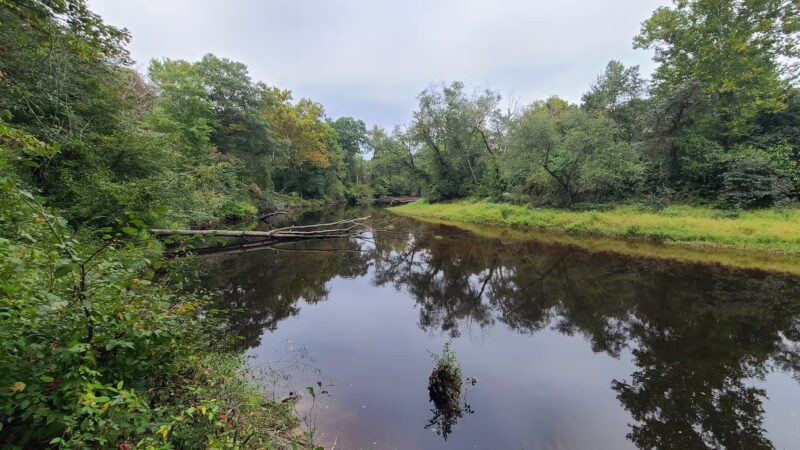 Zoar State Forest Canoe Ramp - Aylett, VA