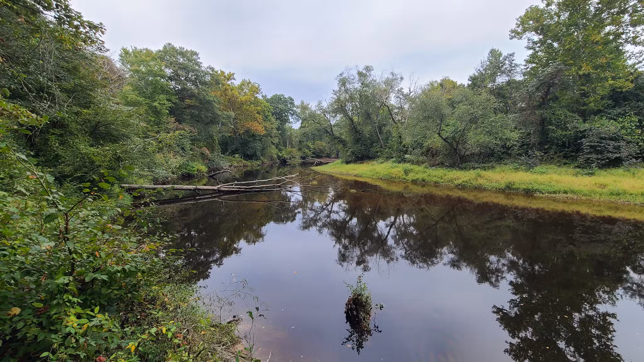 Zoar State Forest Canoe Ramp - Aylett, VA