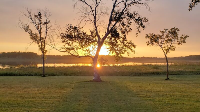Bagley Park - Bagley, MN