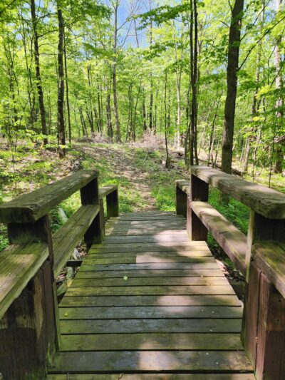 Oquaga Creek State Park - Bainbridge, NY