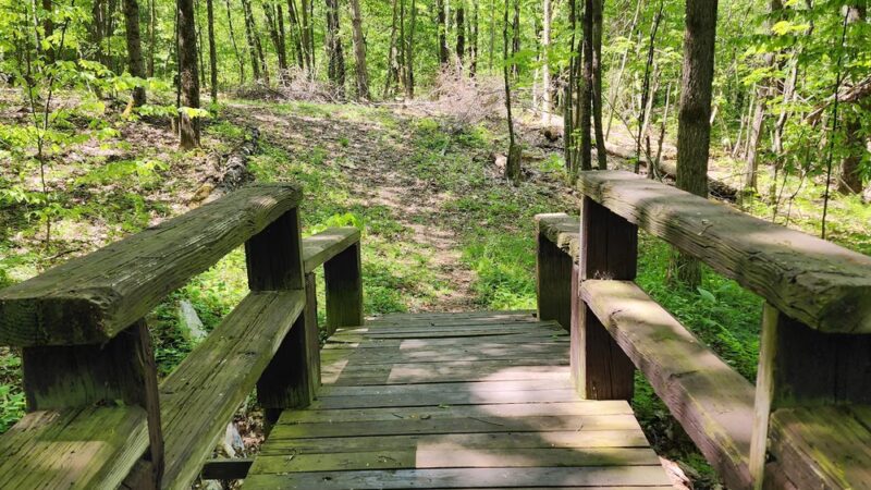 Oquaga Creek State Park - Bainbridge, NY