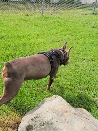 Sam-O Park - Baker City, OR