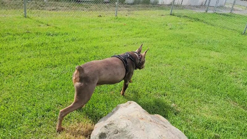 Sam-O Park - Baker City, OR