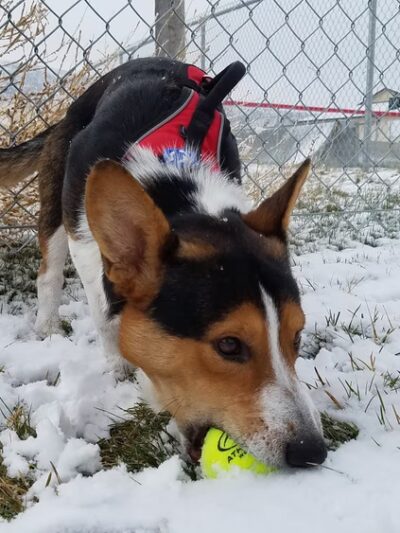 Sam-O Park - Baker City, OR