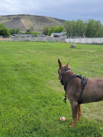 Sam-O Park - Baker City, OR
