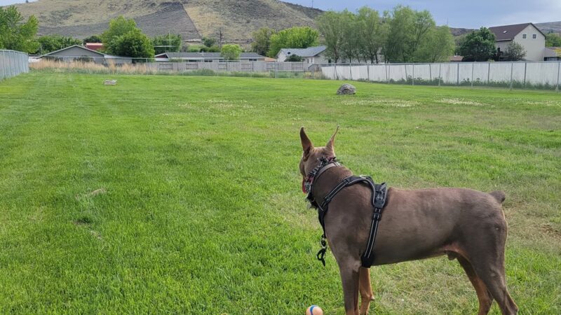Sam-O Park - Baker City, OR