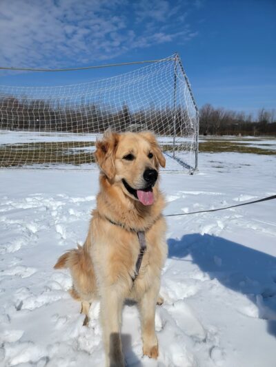 Kerri Hornaday Park - Baldwinsville, NY