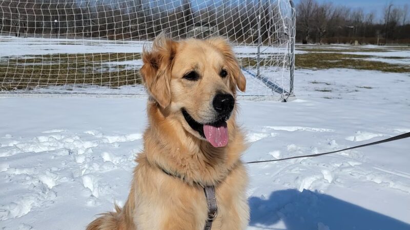 Kerri Hornaday Park - Baldwinsville, NY