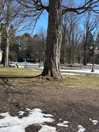 McHarrie Park - Baldwinsville, NY