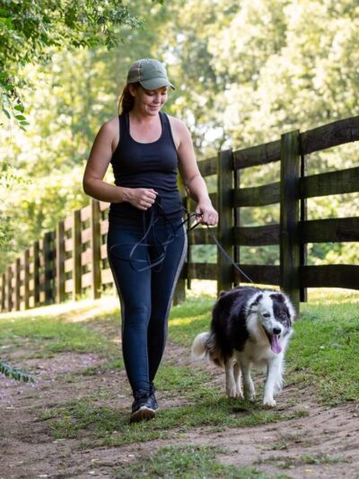 Atlanta Dogworks - Ball Ground, GA