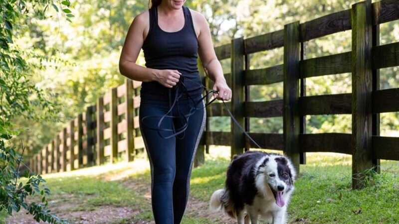 Atlanta Dogworks - Ball Ground, GA