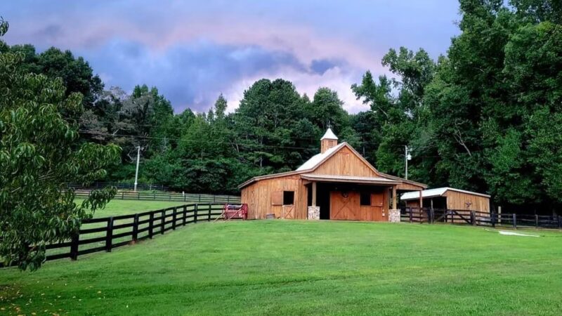 Atlanta Dogworks - Ball Ground, GA
