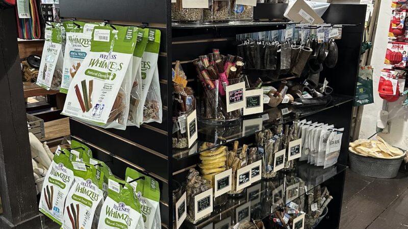 Ball Ground Hounds - Ball Ground, GA