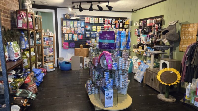 Ball Ground Hounds - Ball Ground, GA